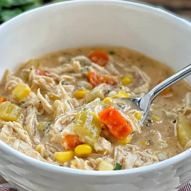 Jamie Oliver Chicken and Vegetable Soup